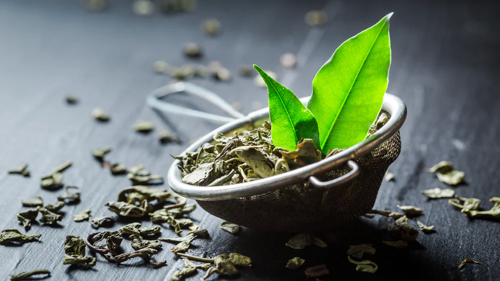 Green Tea Leaf Extract (Camellia sinensis)